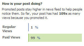 facebook stats on user paid status updates